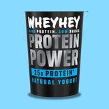 Natural Protein Power Yogurt 450g